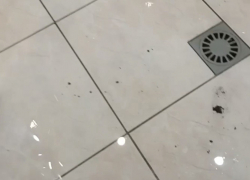 Жители многоквартирного дома в Шахтах пострадали от затопления квартиры канализационными стоками