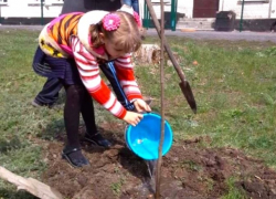 Шахтинцы поработали на озеленение города