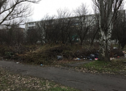 Куча веток на улице Мечникова в Шахтах постепенно превращается в мусорник