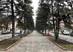 Максимов день: погода в Шахтах и примета дня