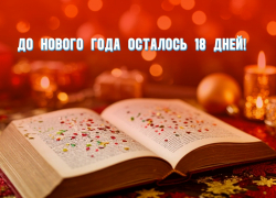 До Нового года осталось 18 дней 