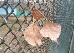 Будет пасмурно, но без осадков, обещают синоптики