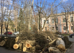 Шахтинский тополь, московские беглецы и беспомощное ЖКХ