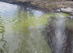 Улицу Милиционную в Шахтах затапливают химические отходы