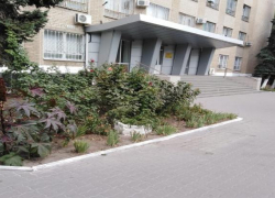 В Шахтах возле собеса срезали лавочки