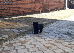 Будет солнечно и по-весеннему тепло, обещают синоптики