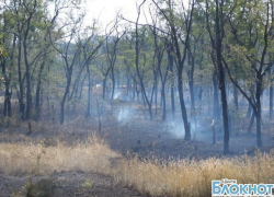 В Шахтах горела лесостепная зона