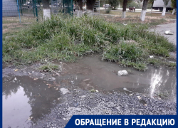 На площадке играют дети, а рядом бурлят канализационные потоки: Тамара Плотникова