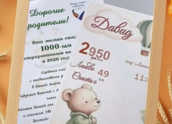 Тысячного малыша зарегистрировали в Шахтах
