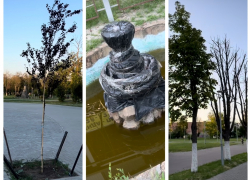 Блогер показала городской парк в Шахтах после благоустройства