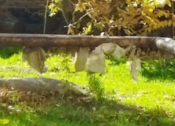 Жители дома в Шахтах страдают из-за проблем с отоплением и инфраструктурой