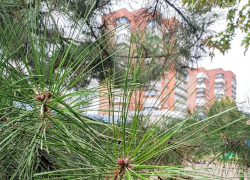 Зима не отступает: в субботу возможен дождь со снегом