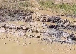 Переулок Карпинского в Шахтах затопило канализационными отходами