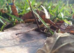 Будет тепло, но пасмурно