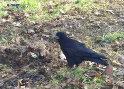 Совсем не по-февральски тепло будет днем в среду