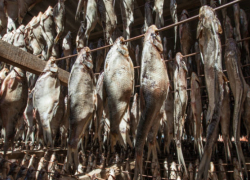 Пожилой шахтинец заплатит штраф в 300 000 рублей