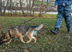 В Шахтах вор попался в руки полиции, «замывая» следы преступления женскими духами