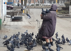 С утра возможен небольшой дождь, а днем будет пасмурно и очень тепло