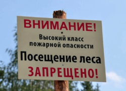 Рядовых дончан в леса пока не пускают