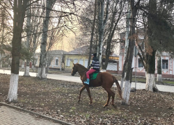 Новый год не мчится?: в Шахтах по-прежнему плюс