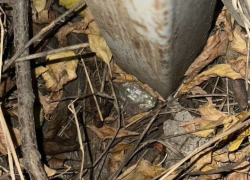 Полицейские задержали подозреваемого в распространении наркотиков в Шахтах