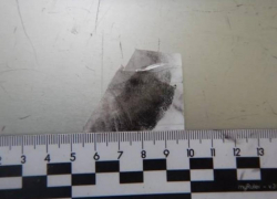 Шахтинка пробралась в чужой дом и вынесла из него золото на полмиллиона рублей