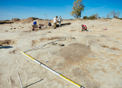 На территории Нижегородской области в районе трассы М-12 обнаружено редкое поселение