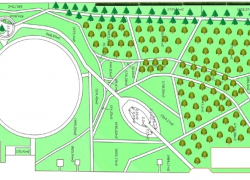 В Александровском парке в Шахтах планируют провести очистку территории и высадить деревья