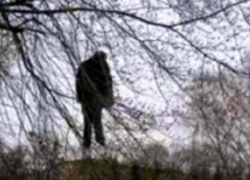 В посадке возле шахтинского аэродрома обнаружили труп