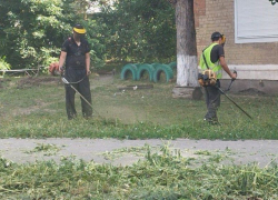 В поселке Майском покосили траву