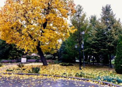 «Короткая, но дивная пора...»: погода в Шахтах и лунный календарь 
