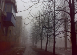 После теплого понедельника в Шахтах ударят морозы