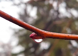 Будет тепло и солнечно, обещают синоптики