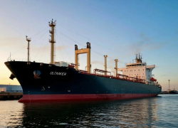 В Ростовской области на продажу выставлены сухогруз и нефтяной танкер