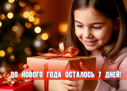 До Нового года осталось 7 дней