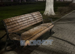 Лавочки в Шахтах стали местом, где голуби устроили себе общественный туалет