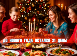 До Нового года остался 21 день 
