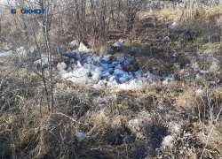 Мусор в карьере власти пообещали убрать за бюджетные деньги