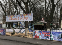 Предновогодние хлопоты: в Шахтах открываются ярмарки-базары