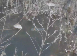 На улице Фадеева в Шахтах образовалось озеро за многоквартирными домами из-за прорыва трубы