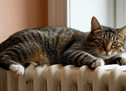 Жители Шахт обеспокоены вопросом отключения отопления