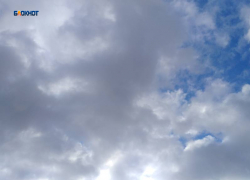 Конец рабочей недели порадует теплой погодой