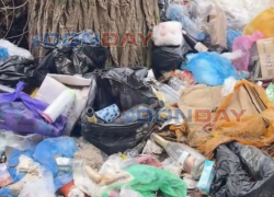 Рядом с жилыми домами образовалась свалка с трупами животных на Артеме в Шахтах