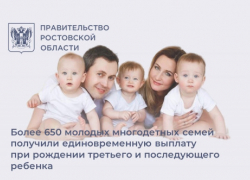 Новая мера поддержки многодетных семей Дона