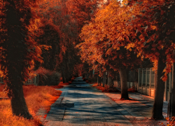 В Шахтах стремительно теплеет: прогноз погоды на бабье лето