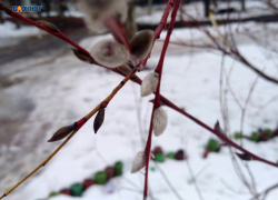  Днем прогреется до +7°C, но будет дождливо