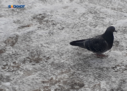 Сегодня снегопад продолжится