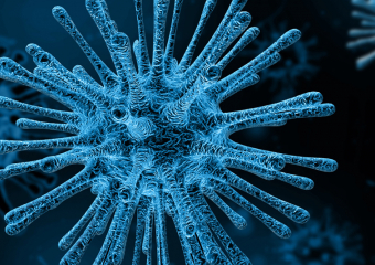 В крови покусанных клещами дончан обнаружен новый вирус