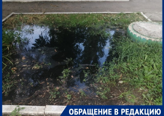 Озера с фекалиями разливаются на Ильюшина в Шахтах: заявки жильцов бесследно исчезают