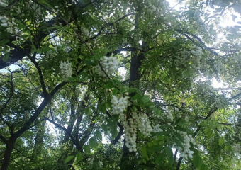 Повышенный уровень ультрафиолета в Шахтах ожидается в ближайшие дни